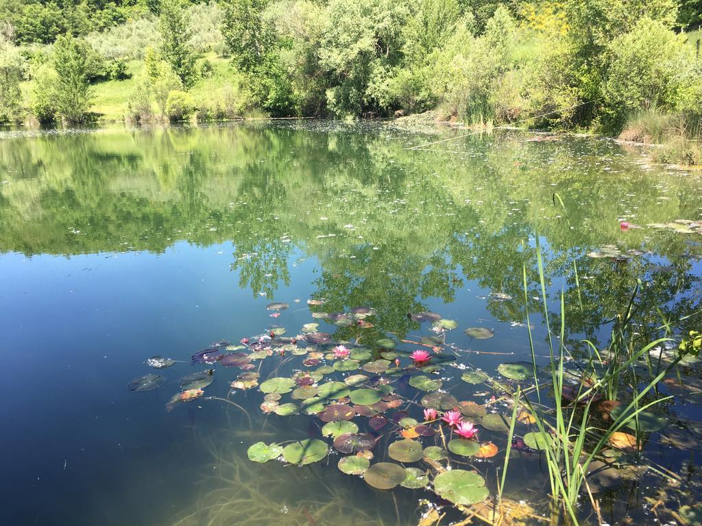 Podere Terreno Alla Via Della Volpaia Radda in Chianti Exterior foto