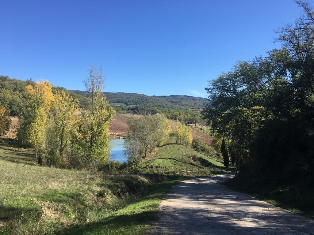 Podere Terreno Alla Via Della Volpaia Radda in Chianti Exterior foto